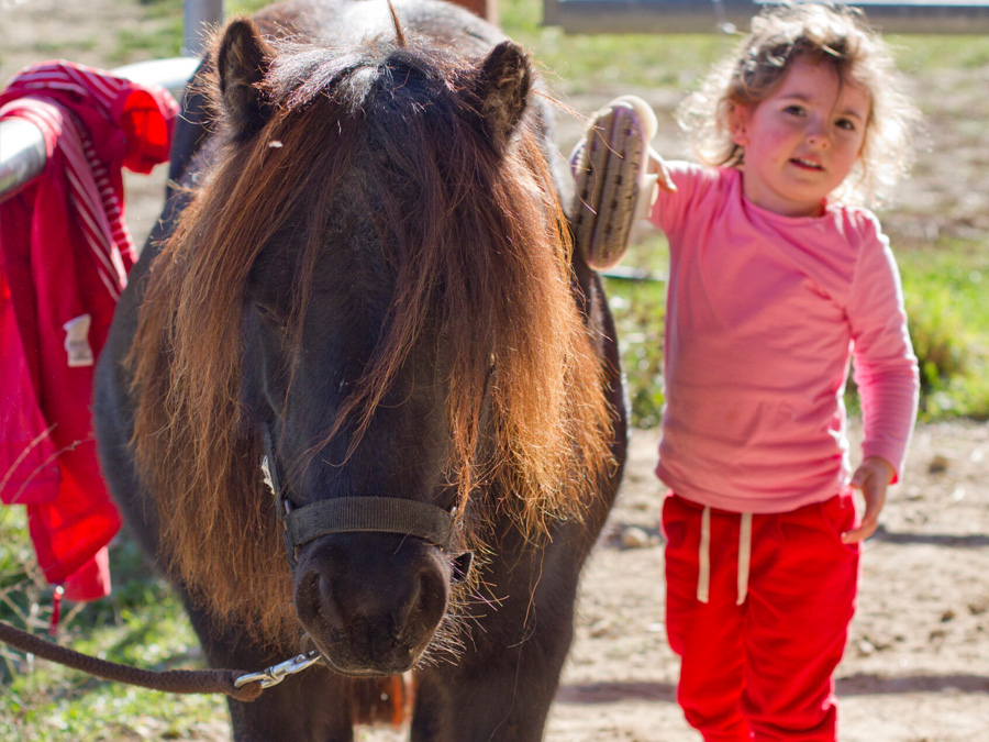 Poney éveil